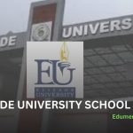 Elizade University school fees for All Courses